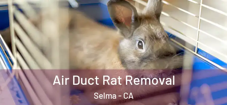  Air Duct Rat Removal Selma - CA