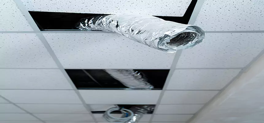 Our Air Duct Pet Hair Removal Services in Selma, CA