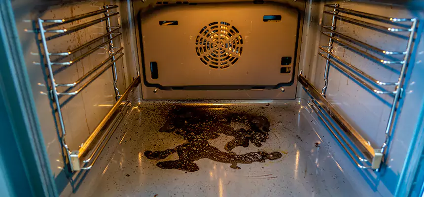 Our Dryer Vent Mold Cleaning Services in Selma, CA