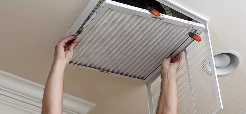 Our Insect Removal from Air Ducts Services in Selma, CA