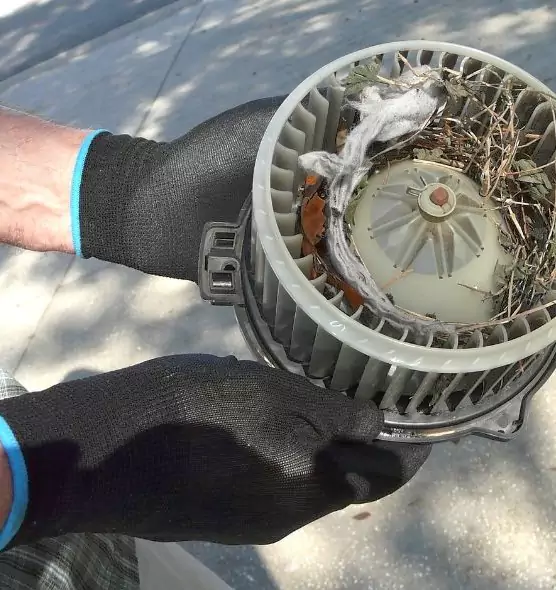 About Air Duct Mice Removal in Selma, CA