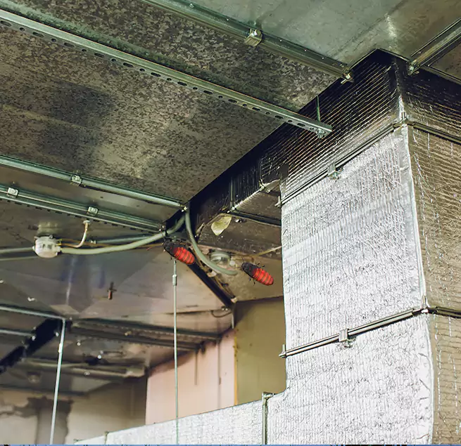 Why Homeowners & Businesses Trust Us in Selma, CA?