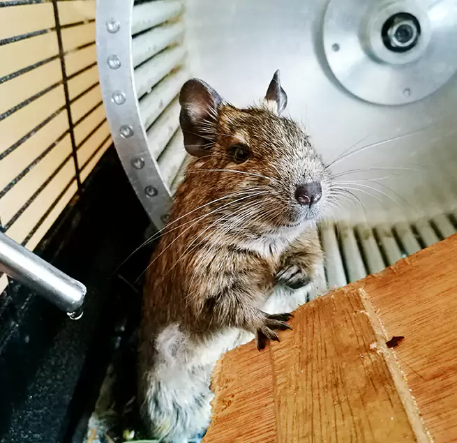 Why Homeowners & Businesses Trust Us Selma, CA